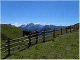 Passo Sella - Rifugio Sasso Piatto